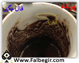معنی نماد پرنده در فال قهوه